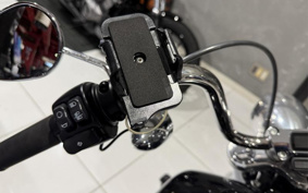 HARLEY FXST1340-1450 2022 BVJ