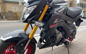 KAWASAKI Z125 PRO BR125H