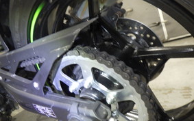 KAWASAKI ZX-4RR 2024 ZX400P