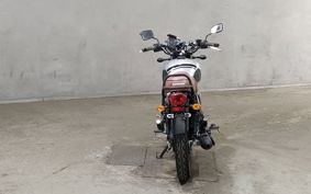 KAWASAKI W175 SE BJ175A