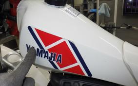 YAMAHA TY250 53Y