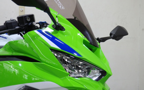 KAWASAKI NINJA ZX-4RR 2024 ZX400P