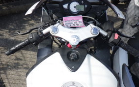 OTHER メガリ 250R
