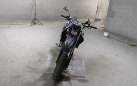 YAMAHA WR250X DG15J