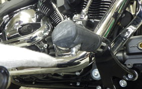HARLEY FXBR1920 2023