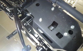 OTHER +MUTT250