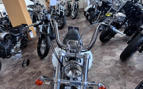 HARLEY FXDI 35th 2005 GW1