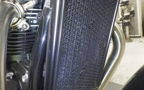 TRIUMPH BONNEVILLE T100 2024