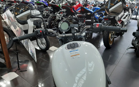 KAWASAKI ELIMINATOR 400-1 2023 EL400A