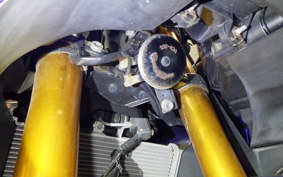 YAMAHA YZF R-3 2019 RH13J