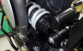 TRIUMPH SCRAMBLER400X 2025