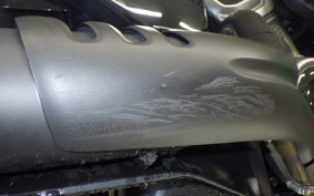 HARLEY RH975 2022