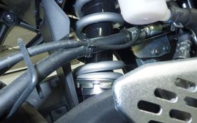 YAMAHA YZF-R25 A RG74J