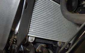 KAWASAKI NINJA 250 EX250L