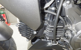KAWASAKI Z125 PRO 2023 BR125H