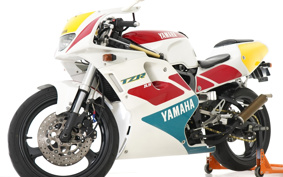 YAMAHA TZR250 RS 3XV