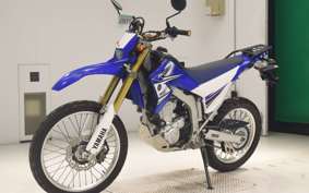 YAMAHA WR250R DG15J