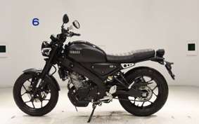 YAMAHA XSR155