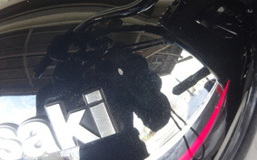 KAWASAKI Z900RS 2024 ZR900K