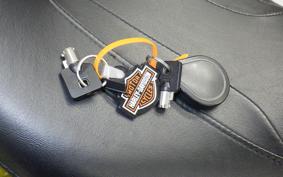HARLEY FLTRXS1870 2020