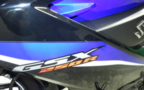 SUZUKI GSX250R 2016