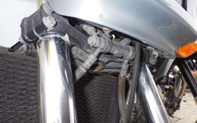 KAWASAKI ZRX1100 1999