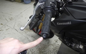 KAWASAKI Z125 PRO 2021 BR125H