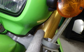 KAWASAKI KLX250 2022 LX250E