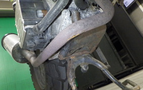 HONDA GIORNO CREA AF54