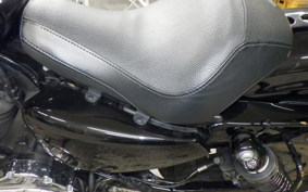 HARLEY XL1200XS 2020