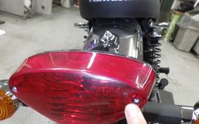 KAWASAKI W800 2025 EJ800E