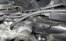 HONDA PCX125 1999 JF28