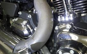 HARLEY FXDL 1580 2014