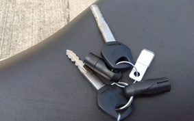 SUZUKI GSX-R125 ABS DL33B