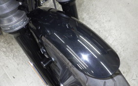 HARLEY XL1200NS 2020