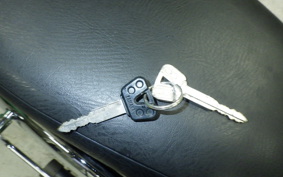 YAMAHA DRAGSTAR 250 2023 VG02J