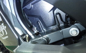 KAWASAKI NINJA 1000 SX 2024 ZXT02K