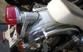 KAWASAKI ESTRELLA RS BJ250A