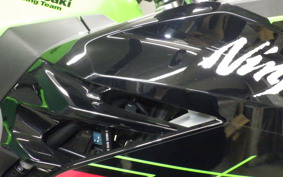KAWASAKI NINJA 400 2024 EX400L