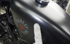 HARLEY XL883N 2020