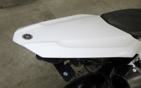 YAMAHA WR250X DG15J