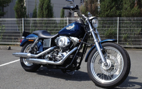HARLEY FXDL 100th 2002 GDV