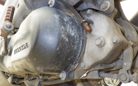 HONDA DIO CESTA AF34