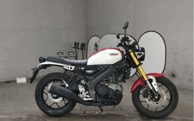 YAMAHA XSR155 RG63
