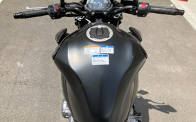 KAWASAKI Z900 2019 ZR900B