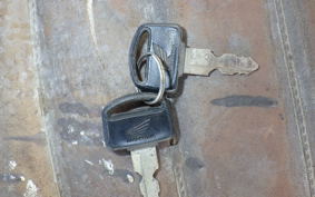 OTHER +UNREGISTERED MODEL by BDS 2022