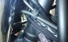 KAWASAKI Z650 RS 2024 ER650R