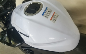 KAWASAKI Z250ABS EX250P