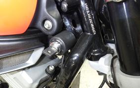 HARLEY XR1200 2010