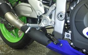 KAWASAKI ZX-4RR 2024 ZX400P